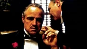 Wat kan je leren van de maffia?