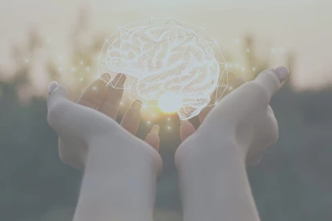 spreker beïnvloedingspsychologie spreker beïnvloedingspsychologie