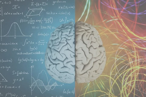spreker neurowetenschap spreker neurowetenschap
